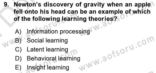 Psychology Dersi 2024 - 2025 Yılı (Final) Dönem Sonu Sınav Soruları 9. Soru