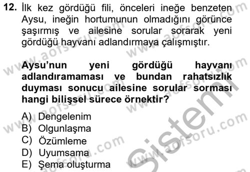 Eğitim Psikolojisi Dersi 2012 - 2013 Yılı (Vize) Ara Sınav Soruları 12. Soru