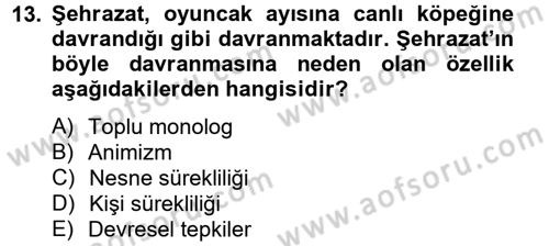 Eğitim Psikolojisi Dersi 2013 - 2014 Yılı (Vize) Ara Sınav Soruları 13. Soru