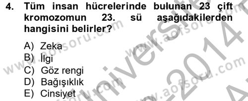 Eğitim Psikolojisi Dersi 2013 - 2014 Yılı (Vize) Ara Sınav Soruları 4. Soru