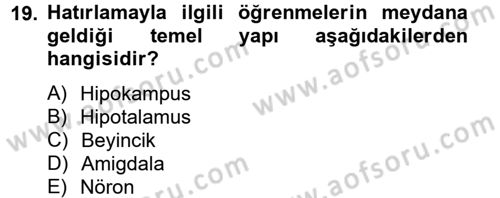 Eğitim Psikolojisi Dersi 2013 - 2014 Yılı (Final) Dönem Sonu Sınav Soruları 19. Soru