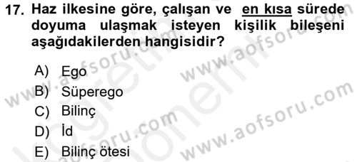 Eğitim Psikolojisi Dersi 2015 - 2016 Yılı (Vize) Ara Sınavı 17. Soru