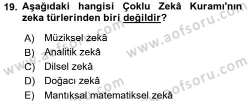 Eğitim Psikolojisi Dersi 2016 - 2017 Yılı (Vize) Ara Sınavı 19. Soru