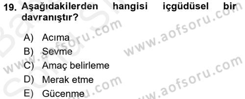 Eğitim Psikolojisi Dersi 2017 - 2018 Yılı (Final) Dönem Sonu Sınav Soruları 19. Soru