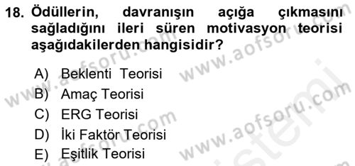 Eğitim Psikolojisi Dersi 2018 - 2019 Yılı (Final) Dönem Sonu Sınav Soruları 18. Soru