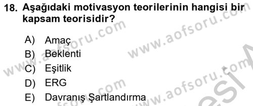 Eğitim Psikolojisi Dersi 2018 - 2019 Yılı Yaz Okulu Sınavı 18. Soru