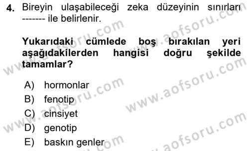 Eğitim Psikolojisi Dersi 2018 - 2019 Yılı Yaz Okulu Sınavı 4. Soru