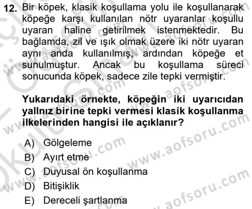 Eğitim Psikolojisi Dersi 2020 - 2021 Yılı Yaz Okulu Sınav Soruları 12. Soru