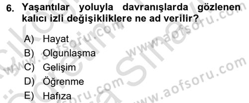 Eğitim Psikolojisi Dersi 2021 - 2022 Yılı (Vize) Ara Sınav Soruları 6. Soru