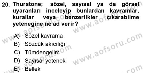 Eğitim Psikolojisi Dersi 2023 - 2024 Yılı (Vize) Ara Sınav Soruları 20. Soru