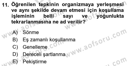Eğitim Psikolojisi Dersi 2023 - 2024 Yılı (Final) Dönem Sonu Sınav Soruları 11. Soru