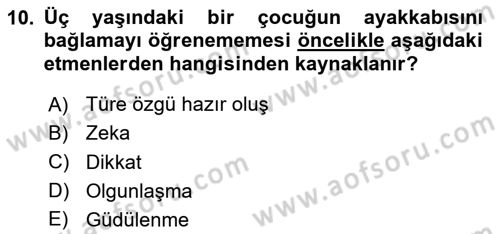 Eğitim Psikolojisi Dersi 2023 - 2024 Yılı Yaz Okulu Sınav Soruları 10. Soru