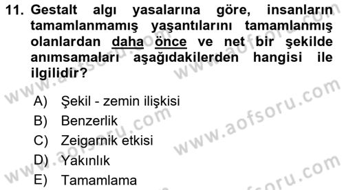 Eğitim Psikolojisi Dersi 2023 - 2024 Yılı Yaz Okulu Sınav Soruları 11. Soru
