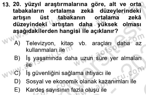 Eğitim Psikolojisi Dersi 2023 - 2024 Yılı Yaz Okulu Sınav Soruları 13. Soru