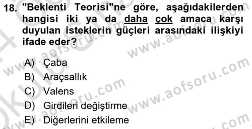 Eğitim Psikolojisi Dersi 2023 - 2024 Yılı Yaz Okulu Sınav Soruları 18. Soru