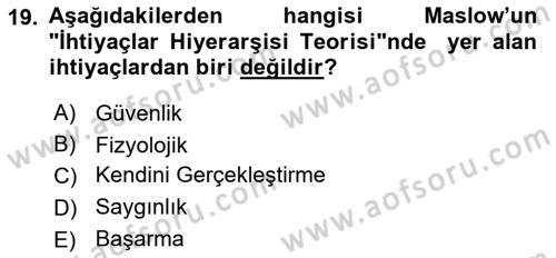 Eğitim Psikolojisi Dersi 2023 - 2024 Yılı Yaz Okulu Sınav Soruları 19. Soru