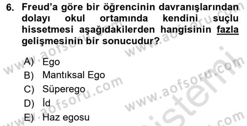Eğitim Psikolojisi Dersi 2023 - 2024 Yılı Yaz Okulu Sınav Soruları 6. Soru