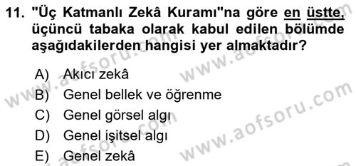 Eğitim Psikolojisi Dersi 2024 - 2025 Yılı (Vize) Ara Sınav Soruları 11. Soru