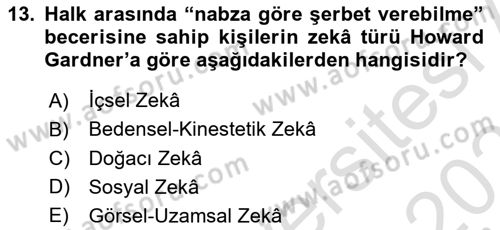 Eğitim Psikolojisi Dersi 2024 - 2025 Yılı (Vize) Ara Sınav Soruları 13. Soru
