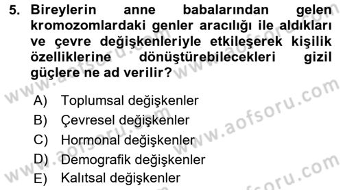 Eğitim Psikolojisi Dersi 2024 - 2025 Yılı (Vize) Ara Sınav Soruları 5. Soru