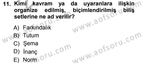 Sosyal Psikoloji 1 Dersi Ara Sınavı Deneme Sınav Soruları 11. Soru