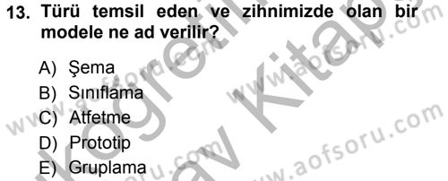 Sosyal Psikoloji 1 Dersi Ara Sınavı Deneme Sınav Soruları 13. Soru