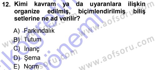Sosyal Psikoloji 1 Dersi Ara Sınavı Deneme Sınav Soruları 12. Soru