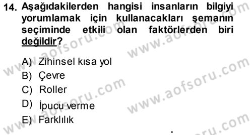 Sosyal Psikoloji 1 Dersi Ara Sınavı Deneme Sınav Soruları 14. Soru