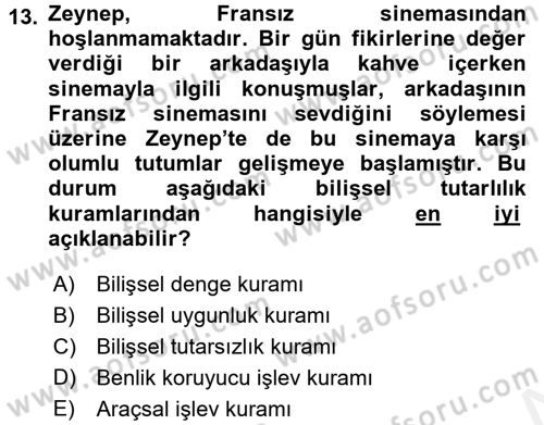 Sosyal Psikoloji 1 Dersi 2015 - 2016 Yılı Tek Ders Sınav Soruları 13. Soru