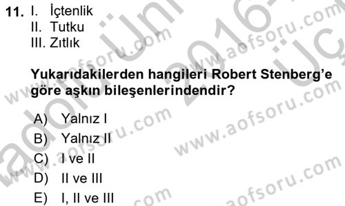 Sosyal Psikoloji 1 Dersi 2016 - 2017 Yılı 3 Ders Sınav Soruları 11. Soru