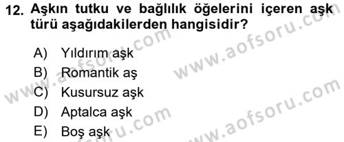 Sosyal Psikoloji 1 Dersi 2016 - 2017 Yılı 3 Ders Sınav Soruları 12. Soru