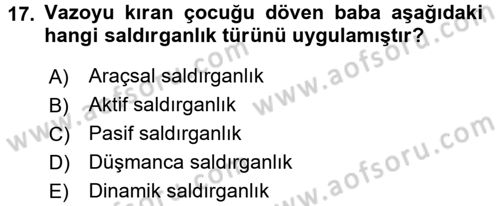 Sosyal Psikoloji 1 Dersi 2016 - 2017 Yılı 3 Ders Sınav Soruları 17. Soru