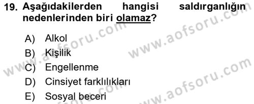 Sosyal Psikoloji 1 Dersi 2016 - 2017 Yılı 3 Ders Sınav Soruları 19. Soru
