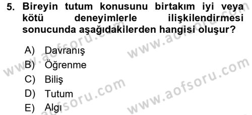 Sosyal Psikoloji 1 Dersi 2016 - 2017 Yılı 3 Ders Sınav Soruları 5. Soru