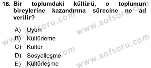 Sosyal Psikoloji 1 Dersi Ara Sınavı Deneme Sınav Soruları 16. Soru