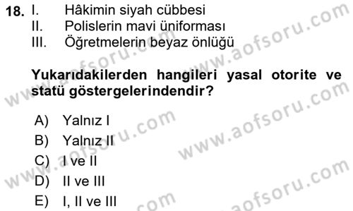 Sosyal Psikoloji 1 Dersi 2018 - 2019 Yılı (Vize) Ara Sınavı 18. Soru