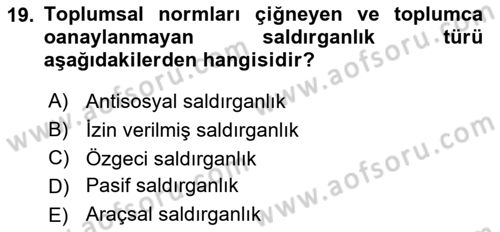 Sosyal Psikoloji 1 Dersi 2018 - 2019 Yılı Yaz Okulu Sınav Soruları 19. Soru