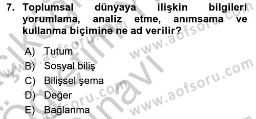 Sosyal Psikoloji 1 Dersi 2018 - 2019 Yılı Yaz Okulu Sınav Soruları 7. Soru