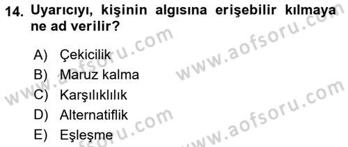 Sosyal Psikoloji 1 Dersi 2020 - 2021 Yılı Yaz Okulu Sınav Soruları 14. Soru