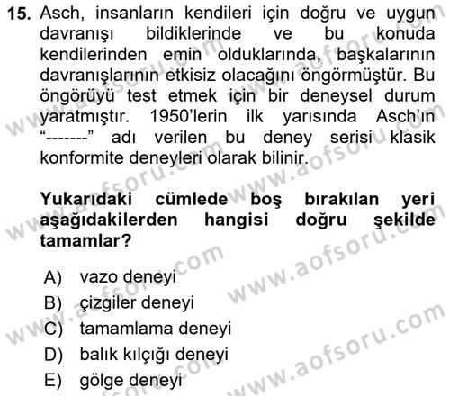 Sosyal Psikoloji 1 Dersi 2021 - 2022 Yılı (Vize) Ara Sınav Soruları 15. Soru