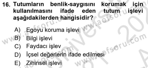 Sosyal Psikoloji 1 Dersi Ara Sınavı Deneme Sınav Soruları 16. Soru