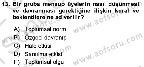 Sosyal Psikoloji 1 Dersi 2021 - 2022 Yılı (Final) Dönem Sonu Sınav Soruları 13. Soru