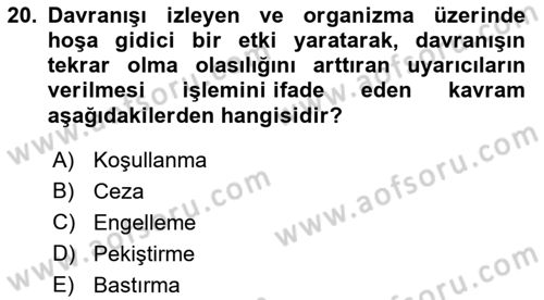 Sosyal Psikoloji 1 Dersi 2021 - 2022 Yılı Yaz Okulu Sınav Soruları 20. Soru