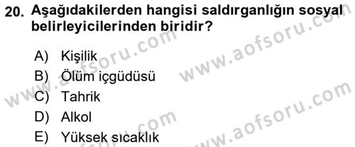 Sosyal Psikoloji 1 Dersi 2022 - 2023 Yılı Yaz Okulu Sınav Soruları 20. Soru