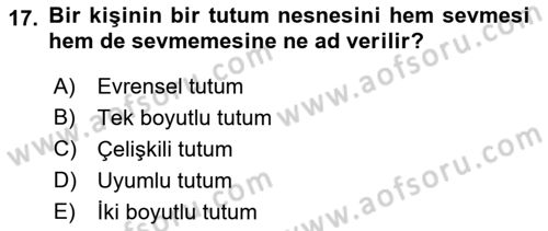 Sosyal Psikoloji 1 Dersi 2023 - 2024 Yılı (Vize) Ara Sınav Soruları 17. Soru