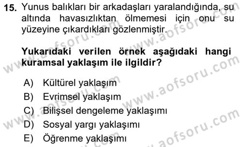 Sosyal Psikoloji 1 Dersi 2023 - 2024 Yılı (Final) Dönem Sonu Sınav Soruları 15. Soru