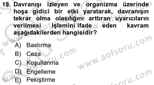Sosyal Psikoloji 1 Dersi 2023 - 2024 Yılı (Final) Dönem Sonu Sınav Soruları 19. Soru