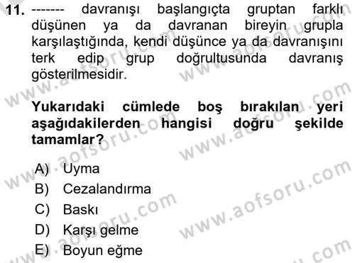 Sosyal Psikoloji 1 Dersi Ara Sınavı Deneme Sınav Soruları 11. Soru