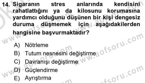 Sosyal Psikoloji 1 Dersi 2024 - 2025 Yılı Yaz Okulu Sınav Soruları 14. Soru