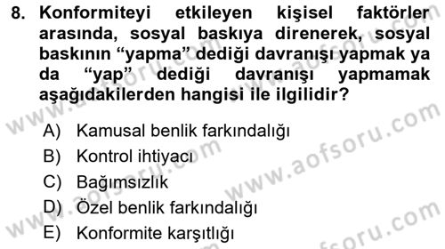 Sosyal Psikoloji 1 Dersi 2024 - 2025 Yılı Yaz Okulu Sınav Soruları 8. Soru